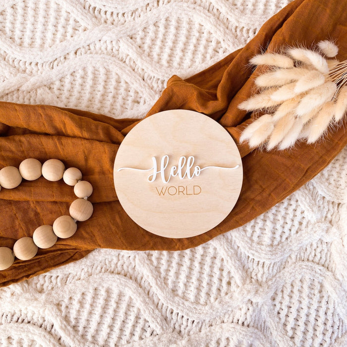 Hello World  Birth Announcement Plaque