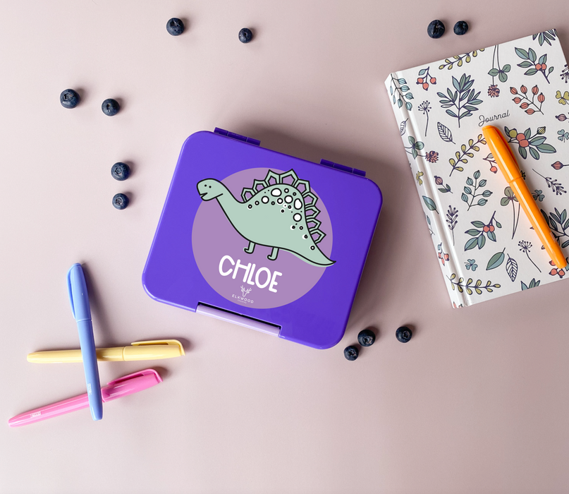 Personalised Mini Childrens Dinosaur Bento Snack Box