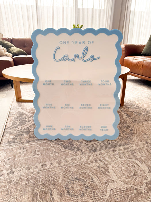 Babies First Birthday Board - Acrylic Baby Milestone Board - My first 12 months