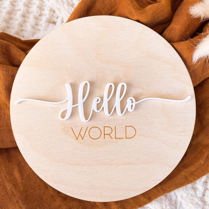 Hello World  Birth Announcement Plaque